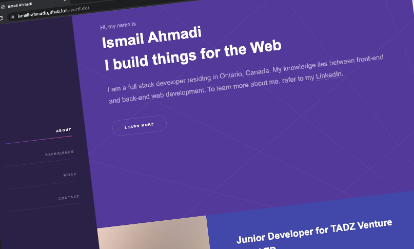 Sample E-Portfolio